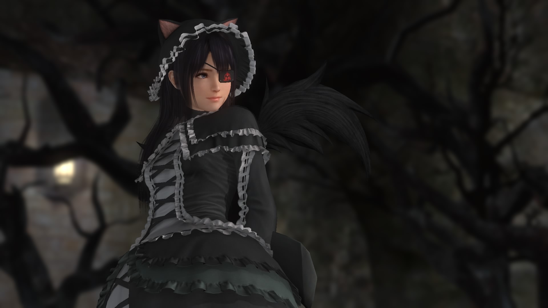 DEAD OR ALIVE 5 Last Round_20150330184900.jpg