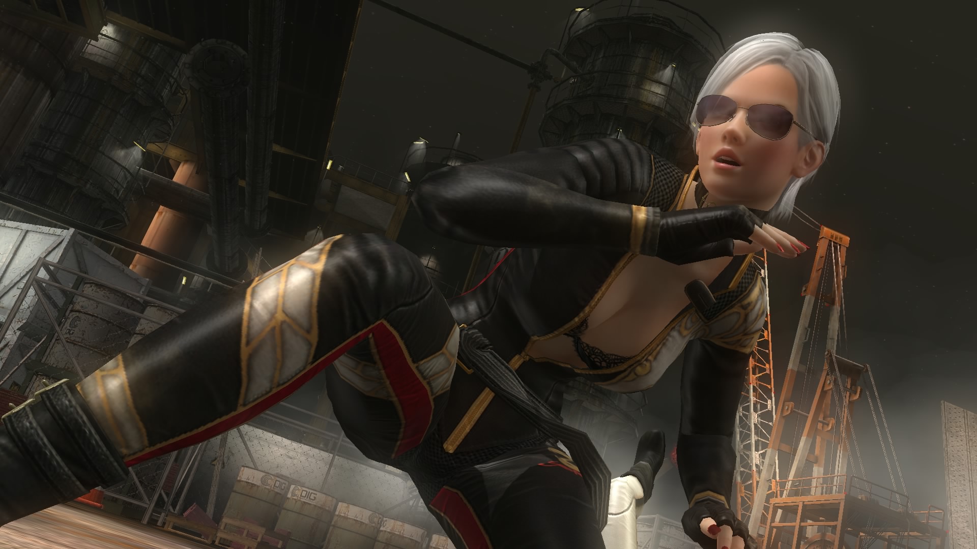 DEAD OR ALIVE 5 Last Round_20150429181300.jpg