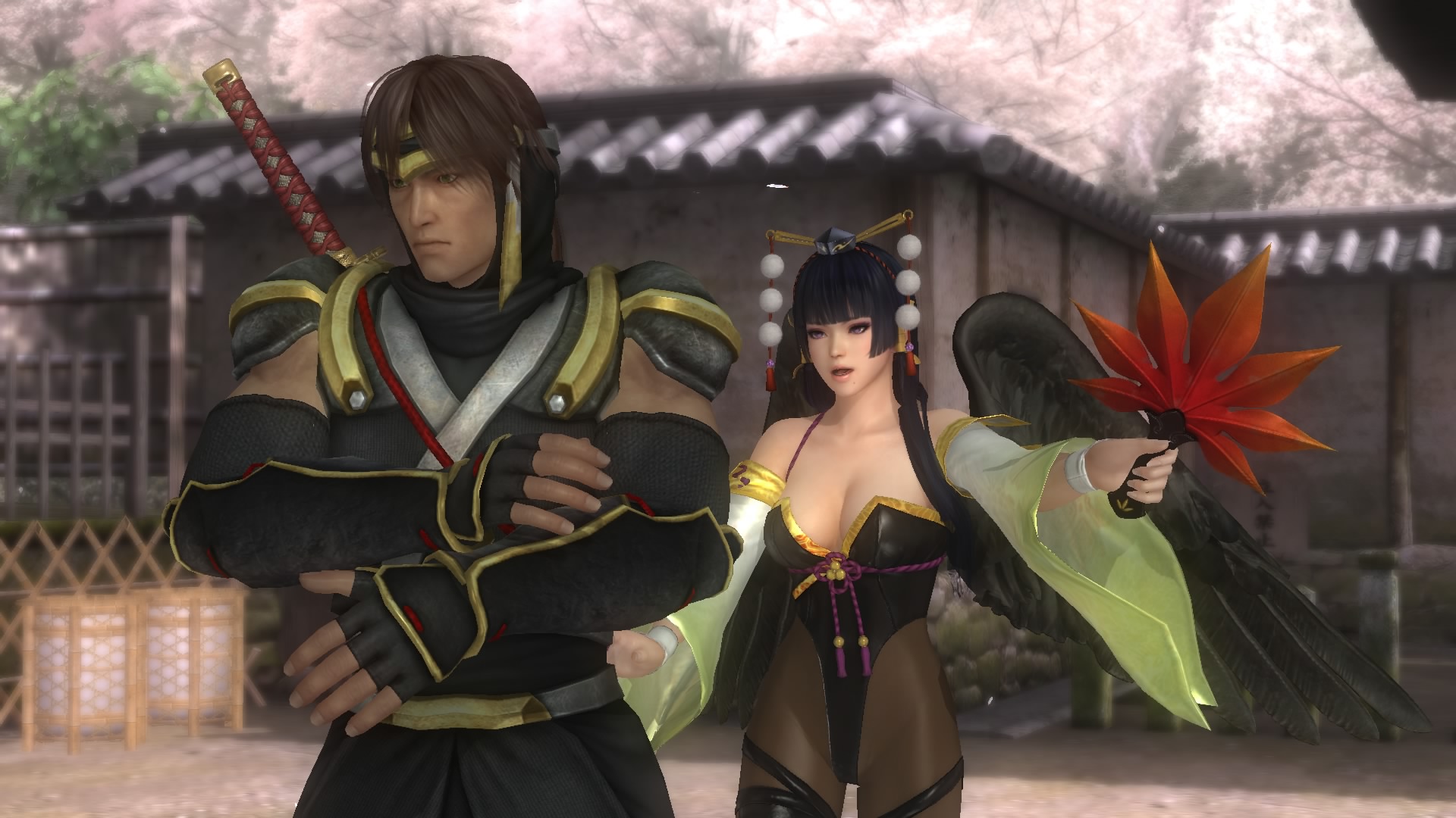 DEAD OR ALIVE 5 Last Round_20150519213700.jpg