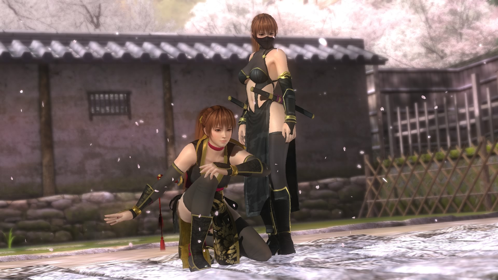 DEAD OR ALIVE 5 Last Round_20150519213706.jpg