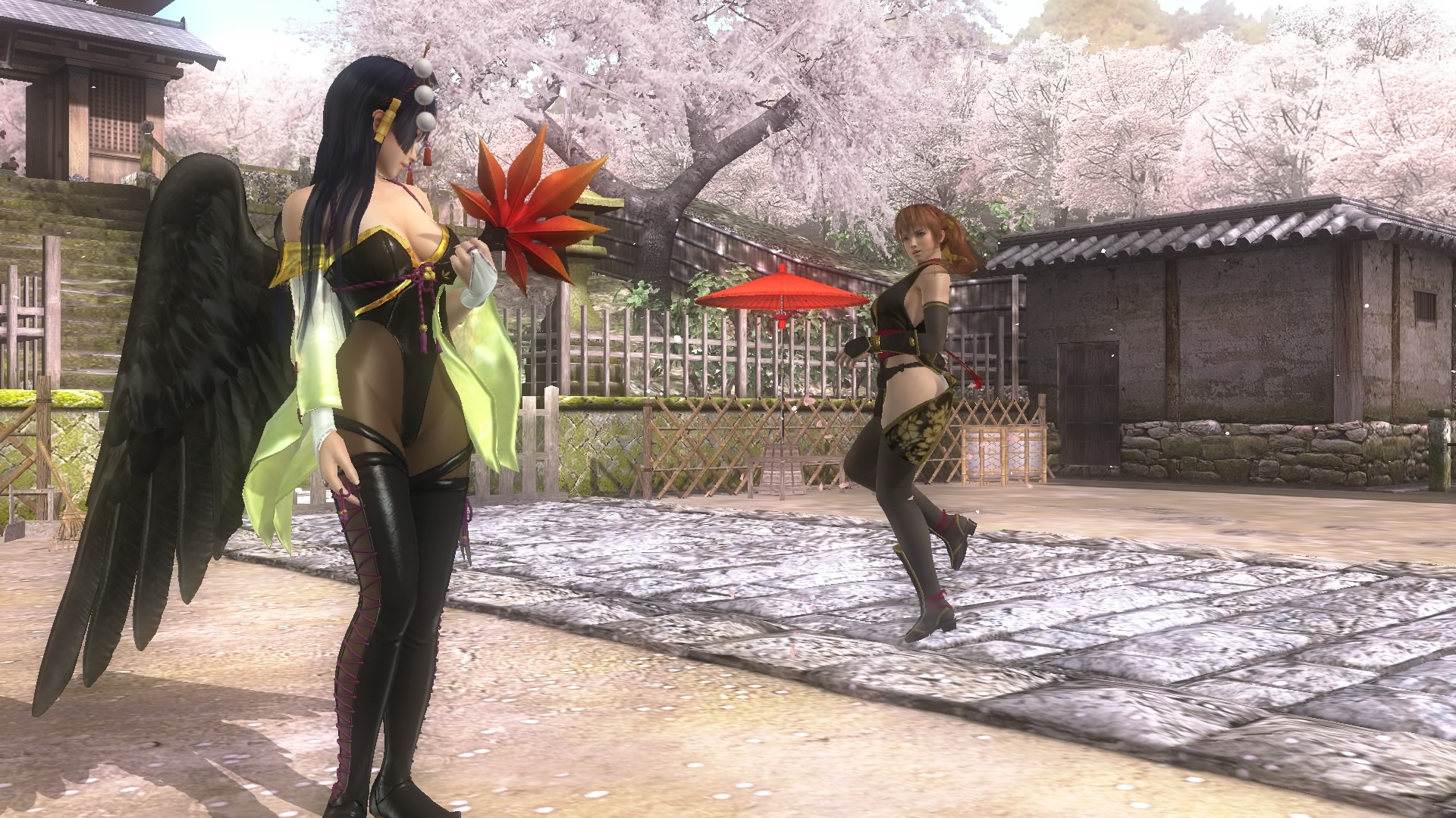 DEAD OR ALIVE 5 Last Round_20150519213903.jpg
