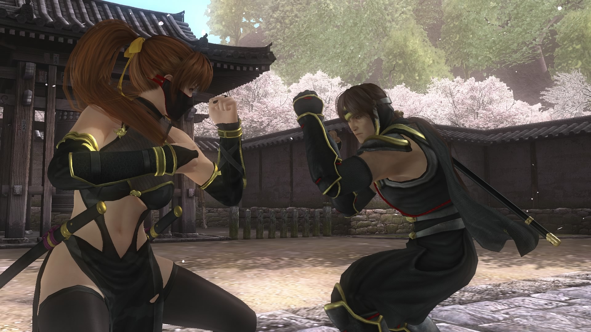 DEAD OR ALIVE 5 Last Round_20150519214058.jpg