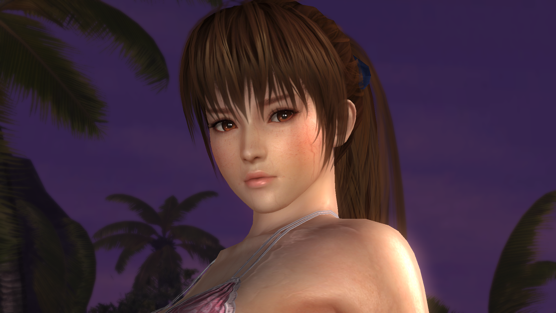 DEAD OR ALIVE 5 Last Round_20160218135310.png