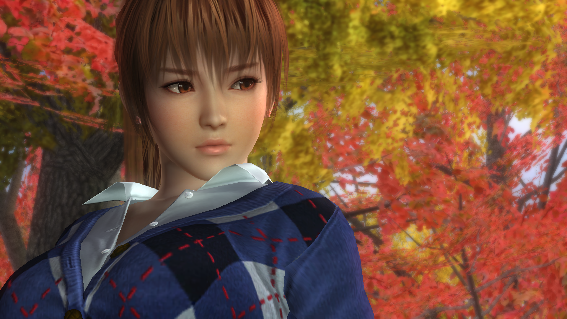 DEAD OR ALIVE 5 Last Round_20160218171113.png