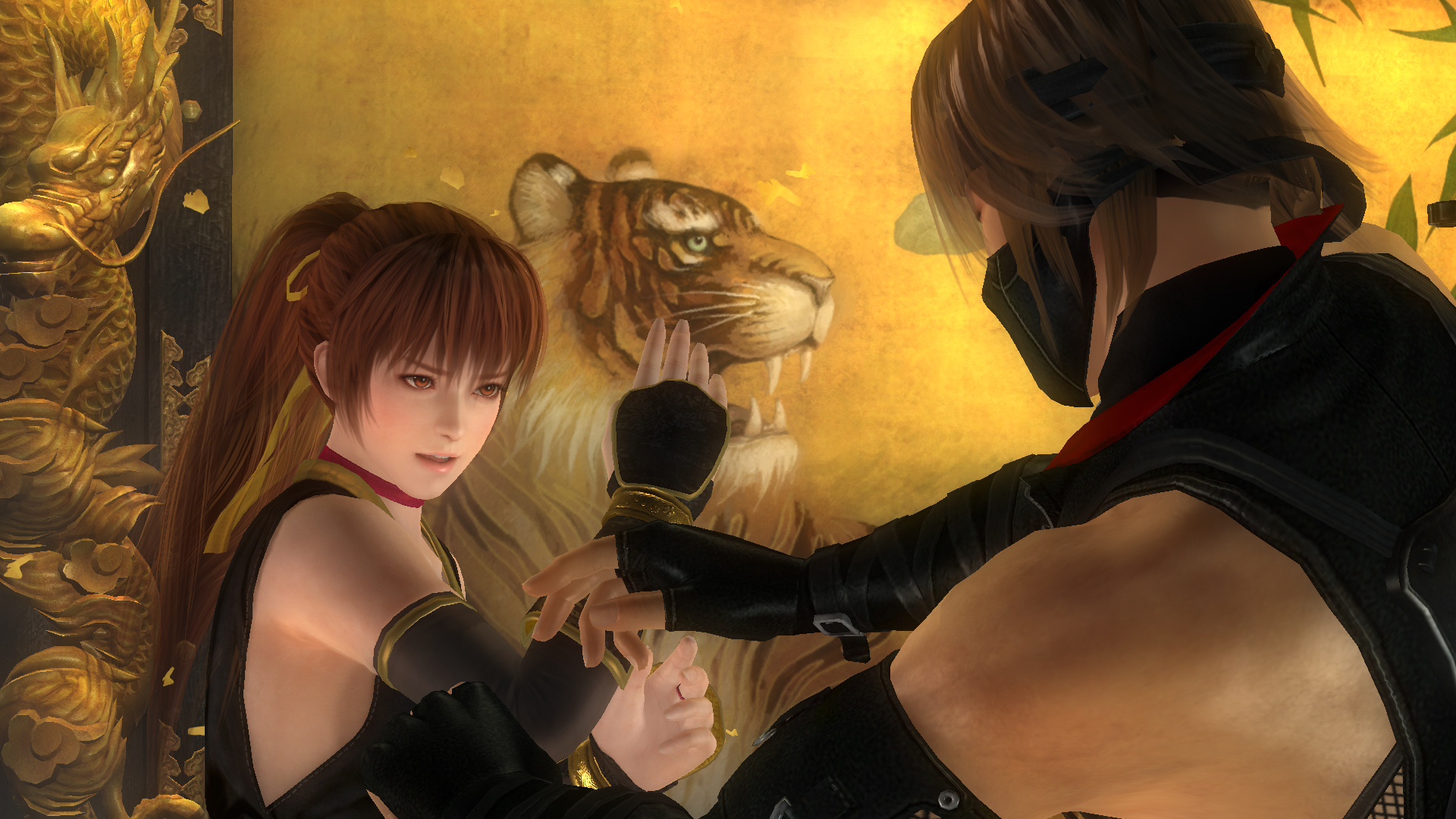 DEAD OR ALIVE 5 Last Round_20160317133127.png