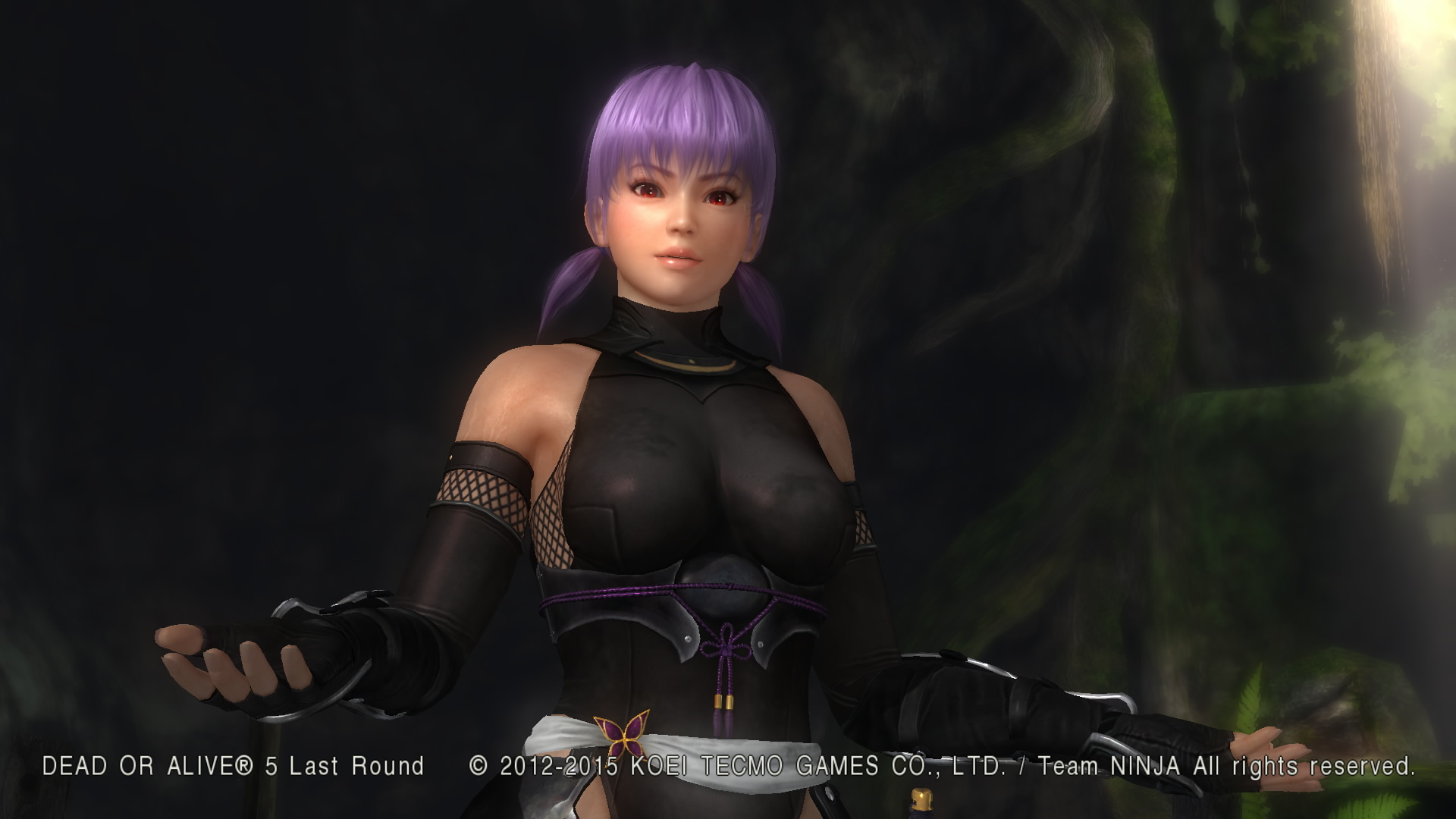 DEAD OR ALIVE 5 Last Round__1.jpg