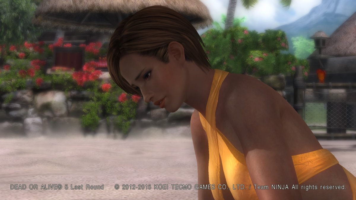 DEAD OR ALIVE 5 Last Round__2.jpeg