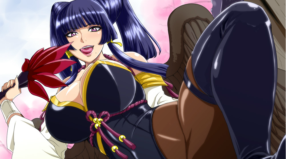 Dead or Alive 5 Ultimate Hot Nyo-Tengu fan art 3.png