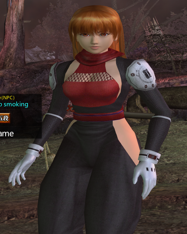 Dead or Alive Version_1280 11_07_2020 00_15_12 (2).png