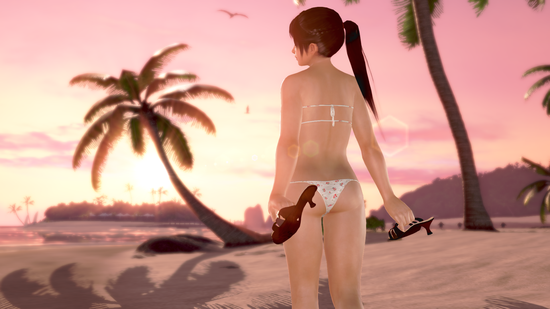 DEAD OR ALIVE Xtreme 3 Fortune_20160329222301.png