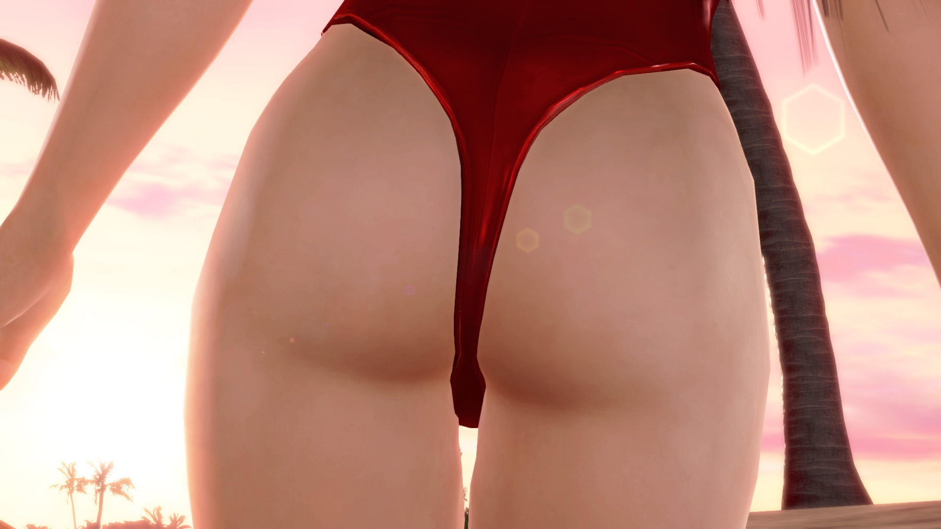 DEAD OR ALIVE Xtreme 3 Fortune__388.jpeg