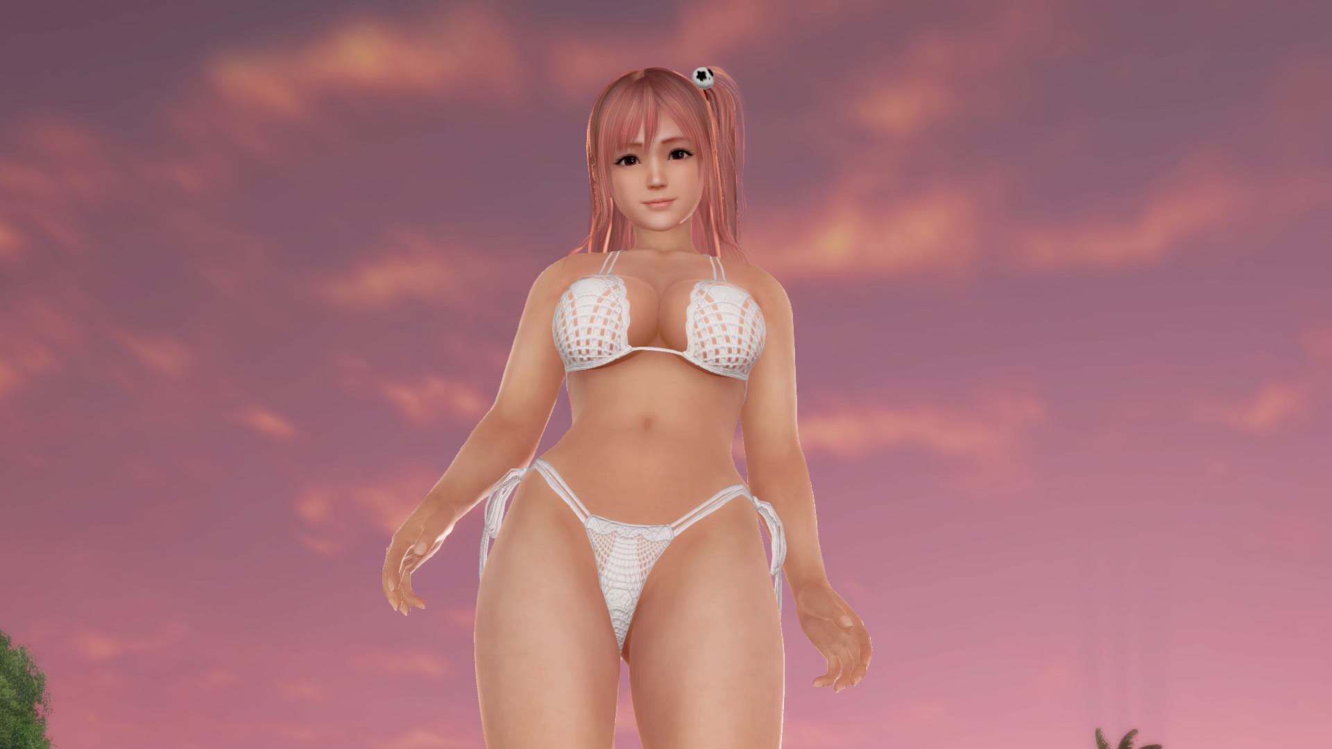DEAD OR ALIVE Xtreme 3 Fortune__422.jpeg