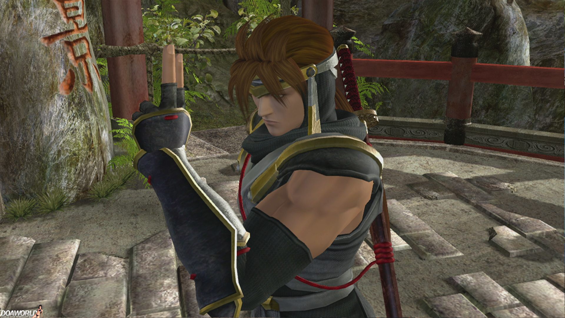 DOA4_Ryu_2.jpg