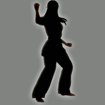DOA6_Silhouette2.png