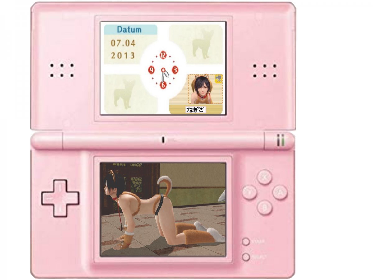 DOAX Dog DS.jpg