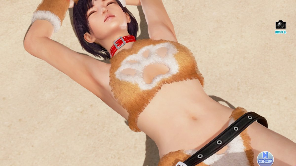 DoAX-Venus-Vacation-Nagisa-Gravure-Panel-(Fluffy-Dog-Chan-SSR)-with-lotions.jpg