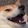 dog_kek.jpg