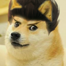 DogeLee Dogiest.jpg