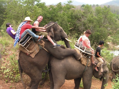 ElephantRide.jpg