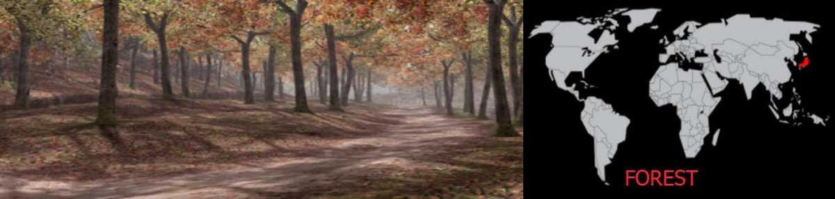 Forest DOA3.jpg