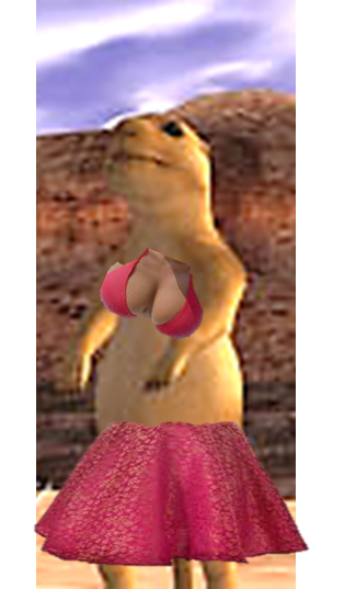 gophertina.png
