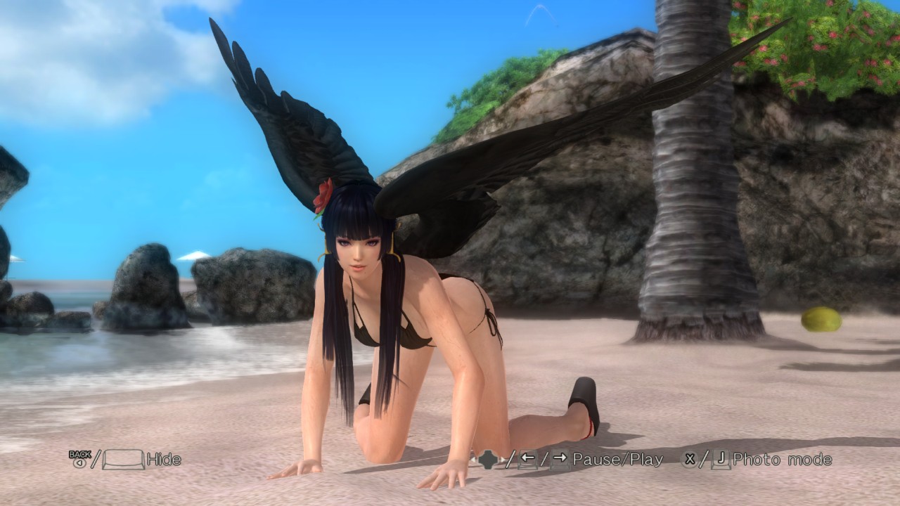 griffon.jpg
