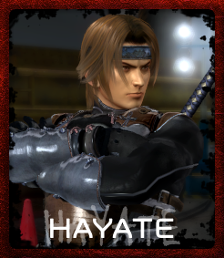 HAYATE TOKEN.png