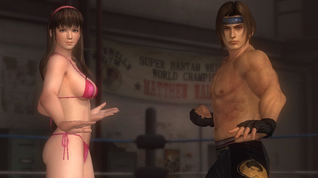 hayate_and_hitomi_01_v2_by_lord_honk-d6o7gxi.jpg