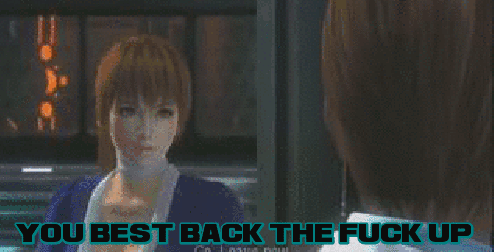IDTS final.gif