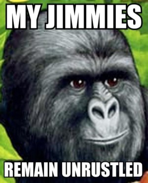 jimmiesunrustled.jpg