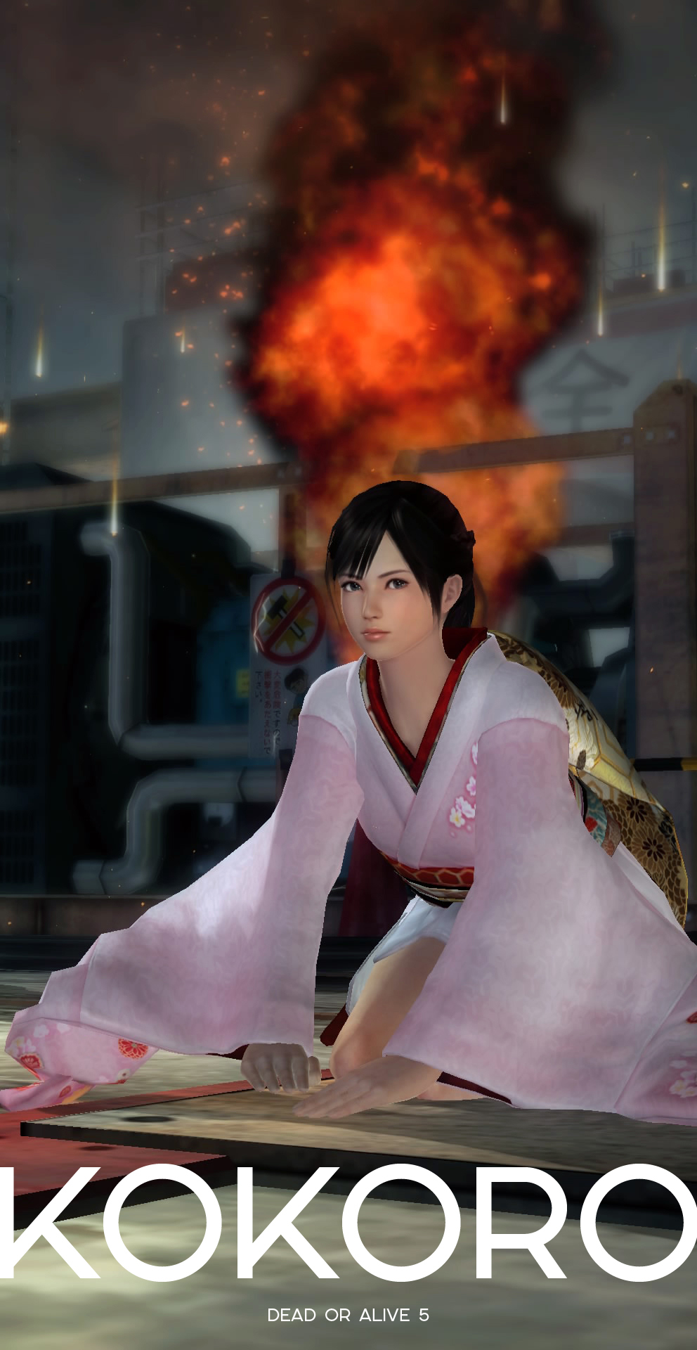 KOKORO_doa5.jpg