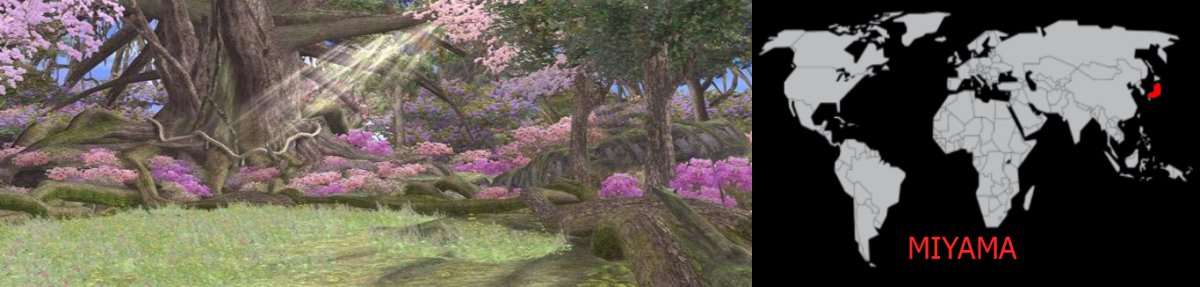 Miyama DOA2.jpg