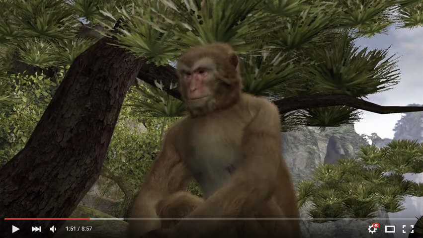 monkey.jpg