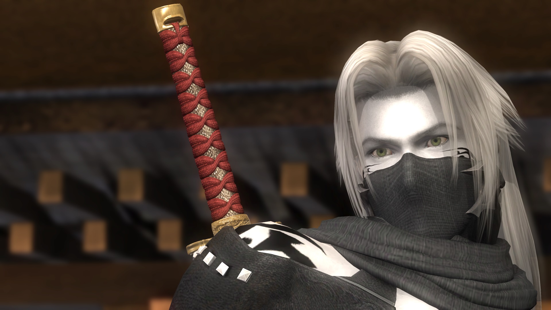 Moon Warrior 0.jpg