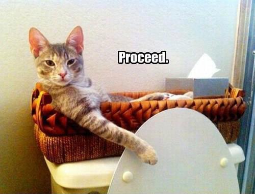 proceed.jpg