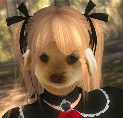 puppy rose.png