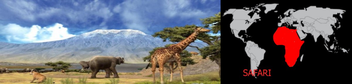 Safari DOA2.jpg