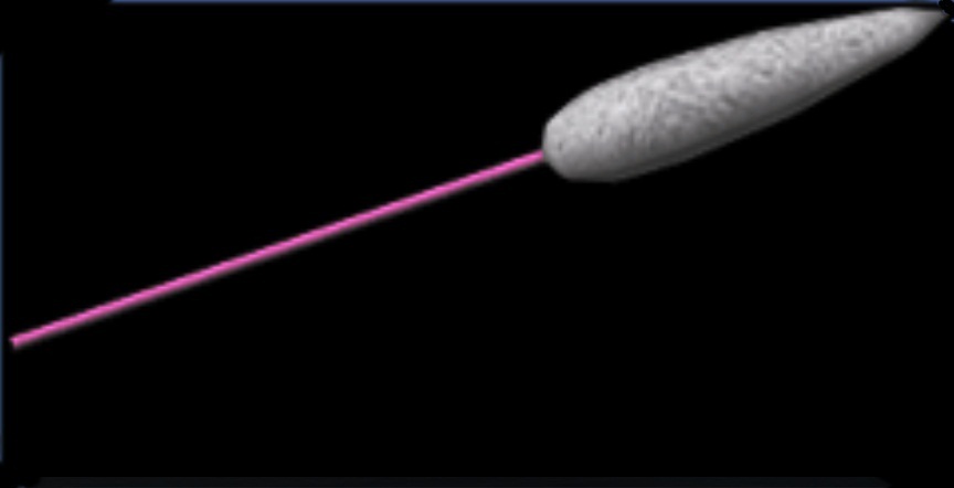 SCIV_-_Foxtail.jpg