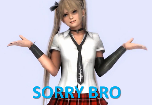 sorry bro.png
