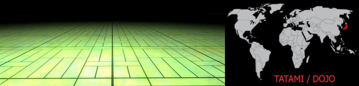Tatami DOA4 DOa5.jpg