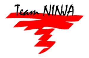 Team Ninja.jpg