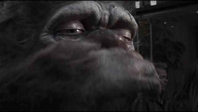 Tek 2.gif