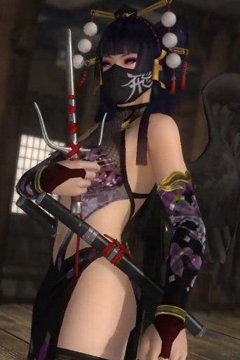 teninja1.jpg
