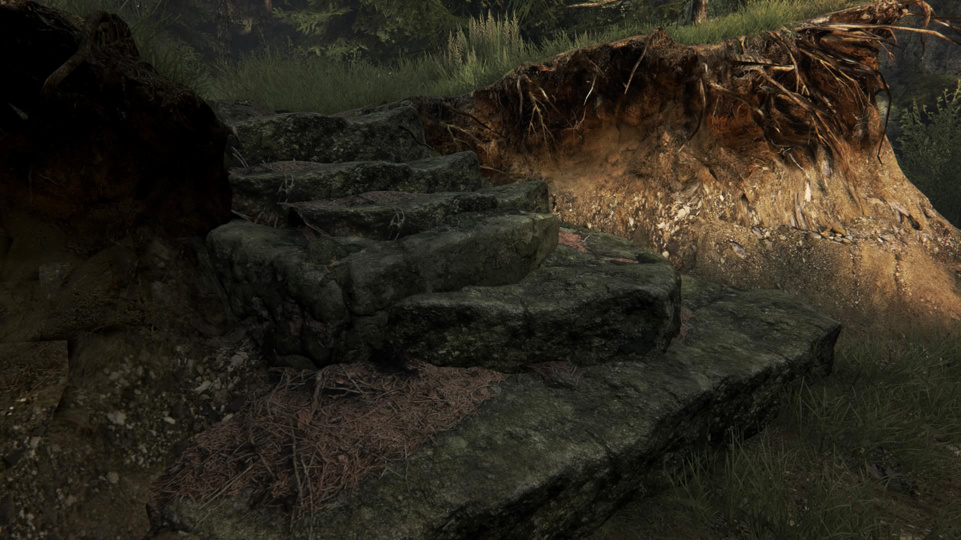 The Vanishing of Ethan Carter_20150808082627.jpg