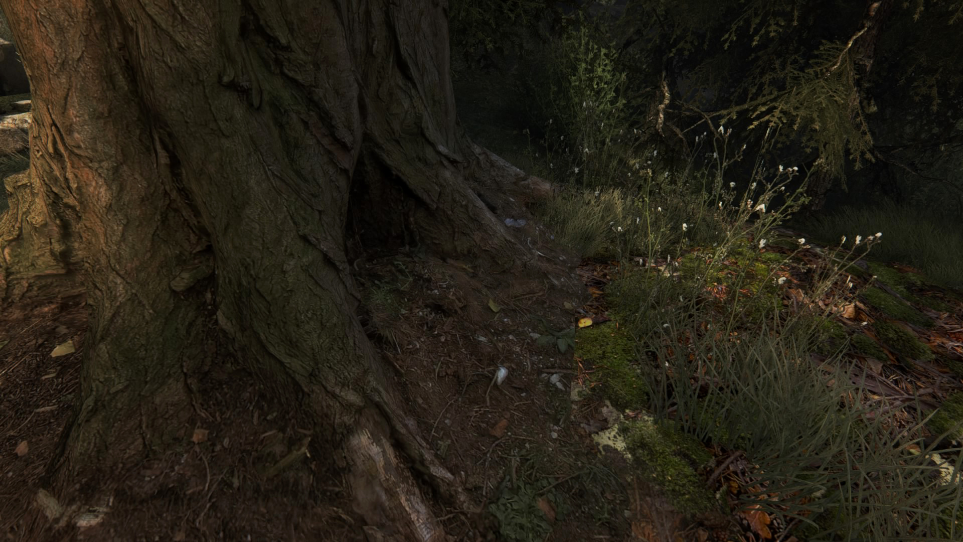 The Vanishing of Ethan Carter_20150808082825.jpg