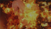 tumblr_inline_mwzzyy4Z4r1rs1hom.gif