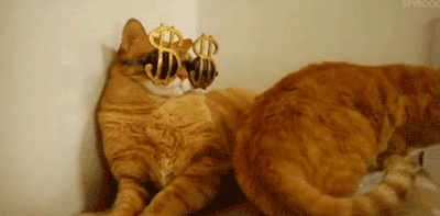 tumblr_inline_n78hxxQhF51scjfkx.gif