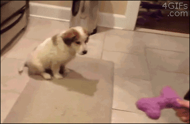 tumblr_mjqogjIO231qdlh1io1_400.gif