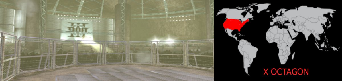 X octagon DOA3.jpg