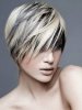 Short-Layered-Haircuts-Ideas-for-Women-2014-05.jpg